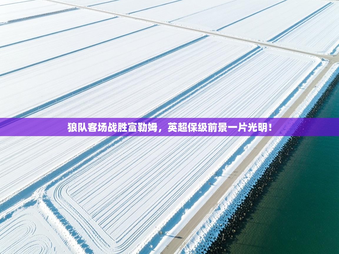 云开体育app官网入口-狼队客场战胜富勒姆，英超保级前景一片光明！  第3张