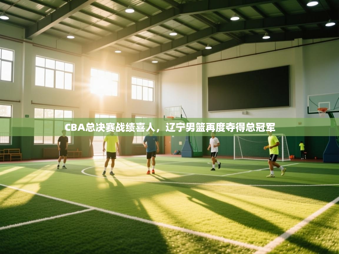 开云体育app网页版入口-CBA总决赛战绩喜人，辽宁男篮再度夺得总冠军  第4张